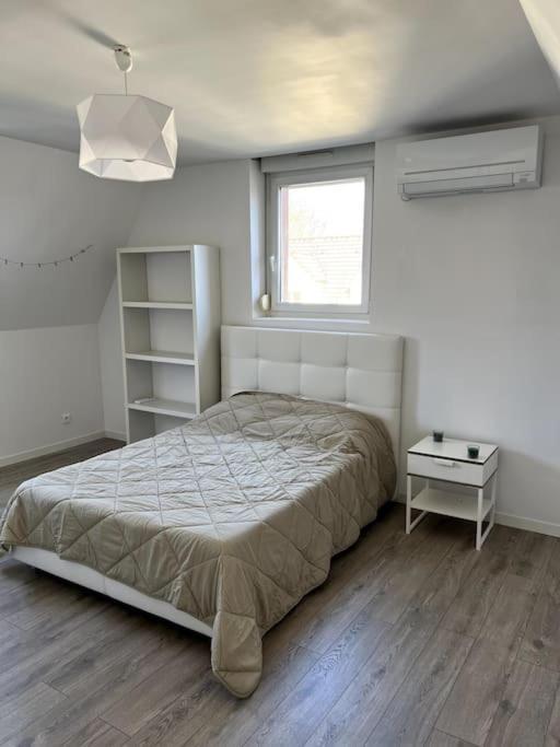 Appartement F5 Maison De Maitre Mulhouse Esterno foto