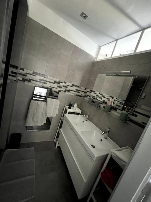 Appartement F5 Maison De Maitre Mulhouse Esterno foto