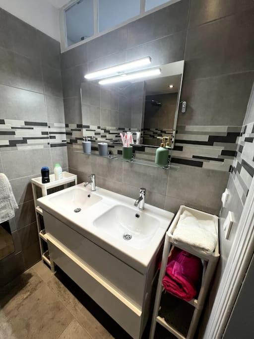 Appartement F5 Maison De Maitre Mulhouse Esterno foto