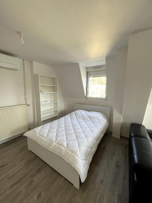 Appartement F5 Maison De Maitre Mulhouse Esterno foto
