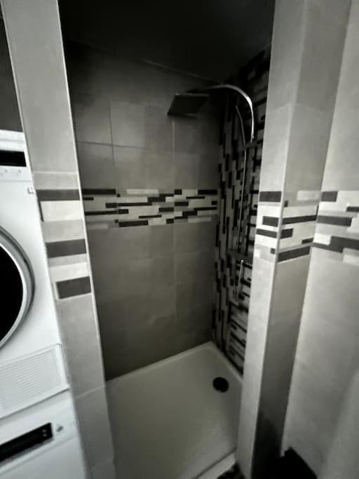 Appartement F5 Maison De Maitre Mulhouse Esterno foto