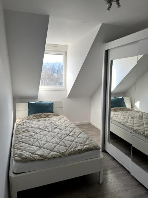 Appartement F5 Maison De Maitre Mulhouse Esterno foto