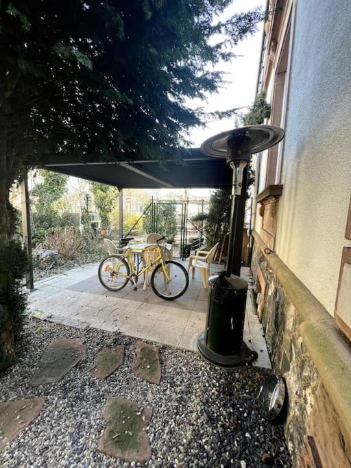 Appartement F5 Maison De Maitre Mulhouse Esterno foto