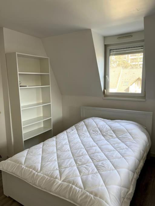Appartement F5 Maison De Maitre Mulhouse Esterno foto