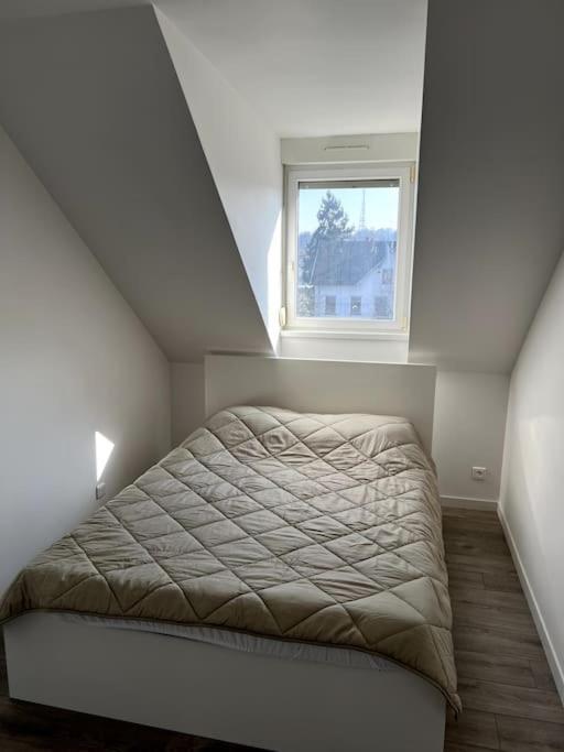 Appartement F5 Maison De Maitre Mulhouse Esterno foto